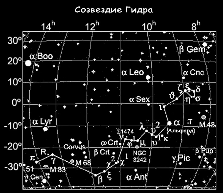 Мега дарк нет